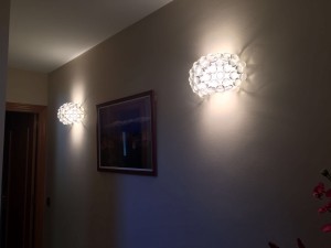 IMG 9939