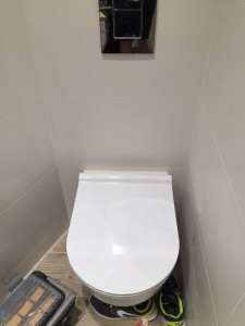 IMG 9949